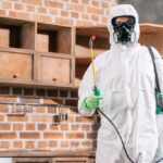 Transform Your Home with Top-Quality Pest Control in Calgary