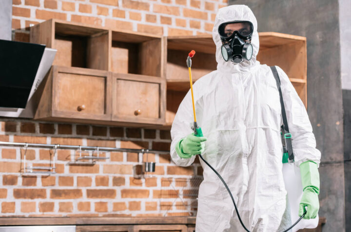 pest control in Calgary